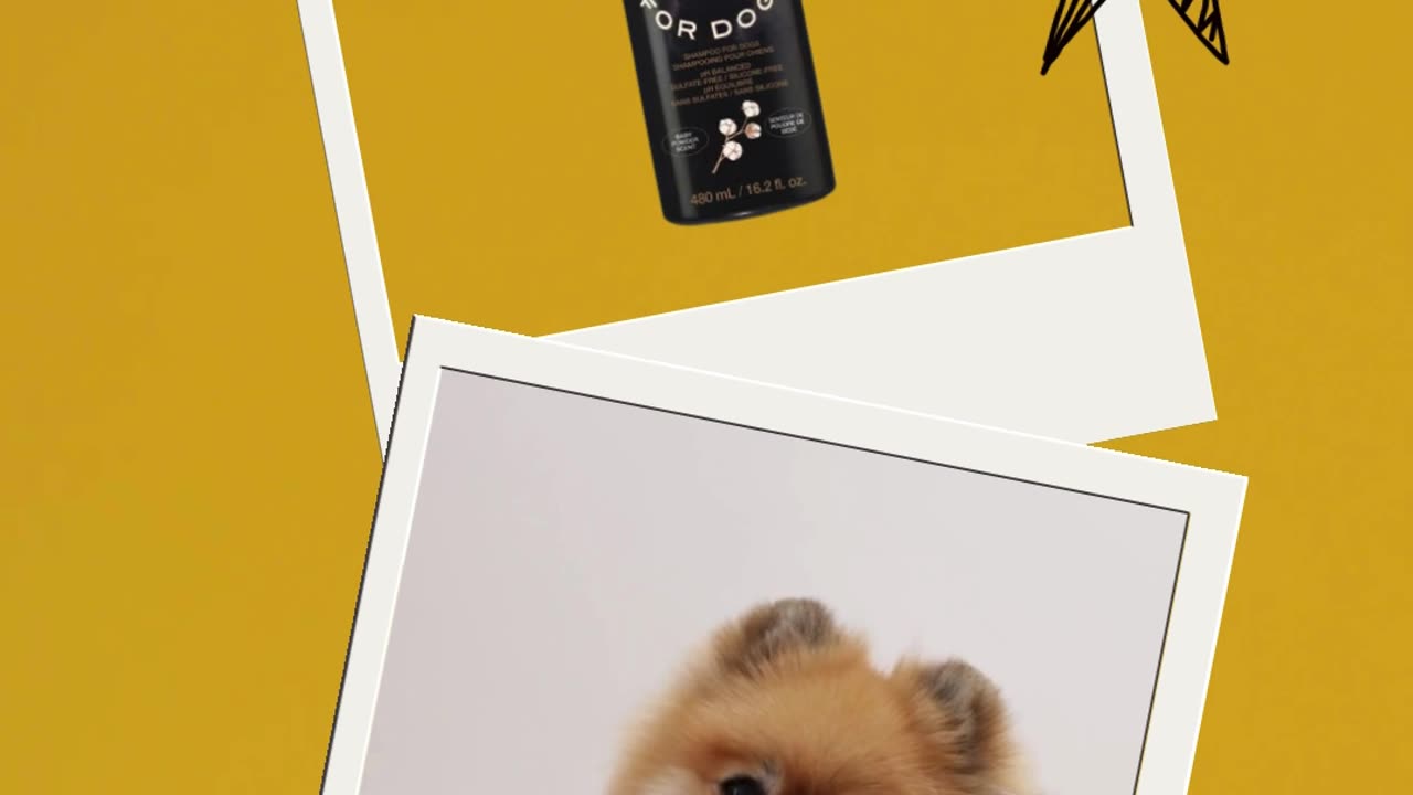 AVON Sirius Groom Shampoo For Dogs in Baby Powder