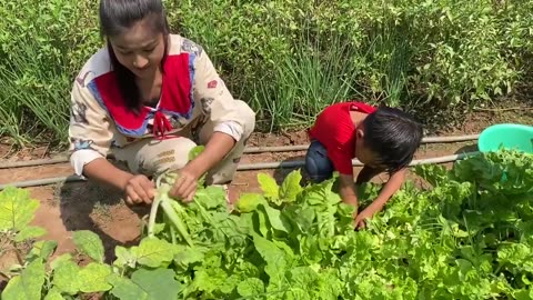 Sreypov's Life Show- Prepare Cambodia noodle for our lunch - Family food cooking