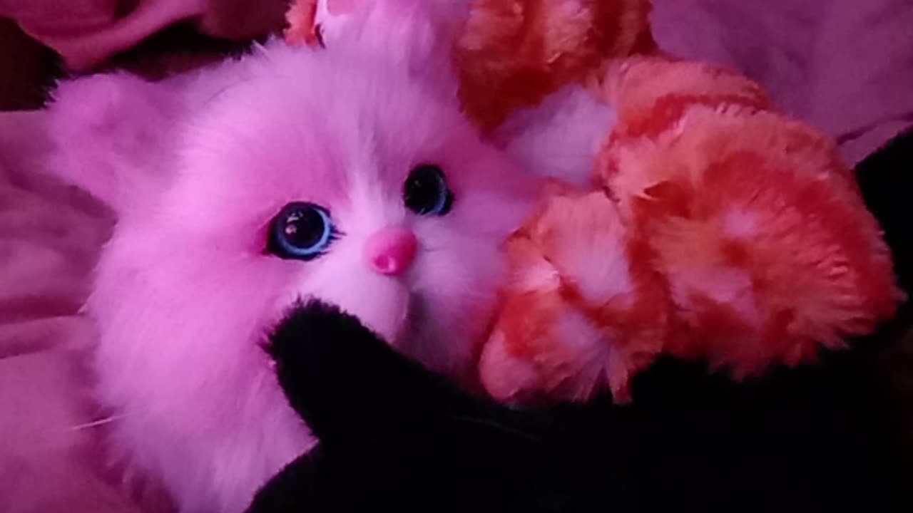 When Ending the Kittens Doesn't Work. Conways Eureka Dawning