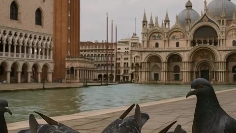 Feeding pigeons is prohibited in Venice, Italy.