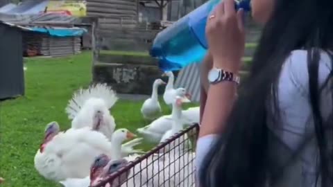 Speaking Their Language