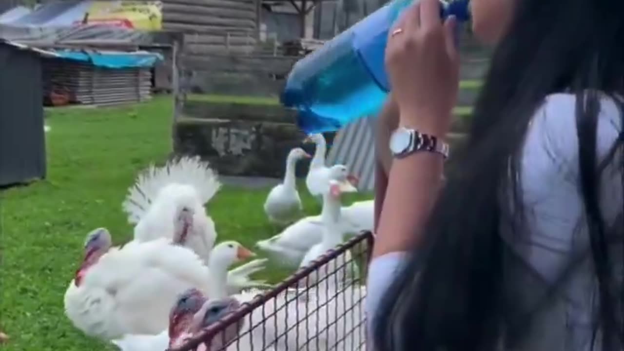 Speaking Their Language