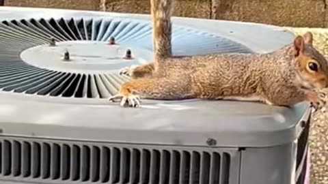 Summer Heat Got us Like Cooling off