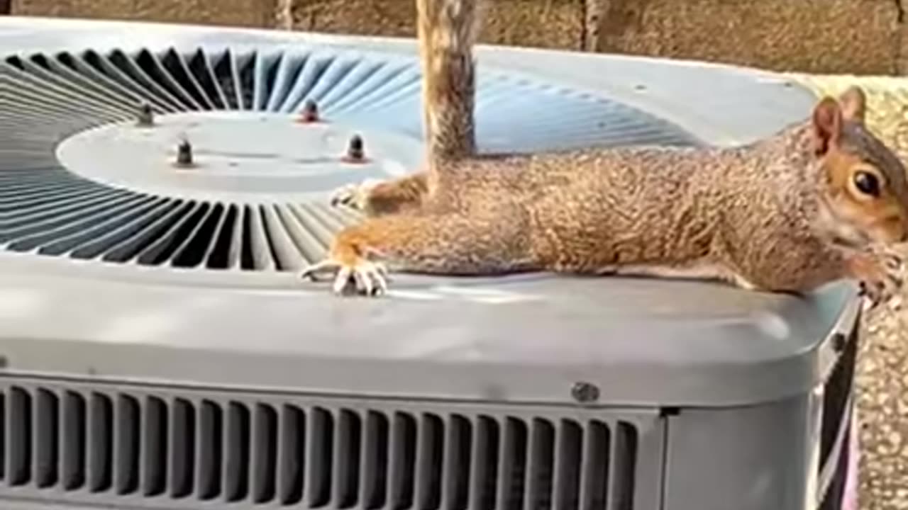 Summer Heat Got us Like Cooling off