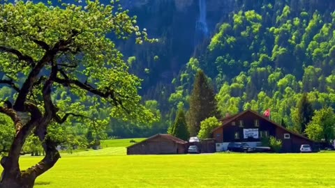 What a beautiful view | Welcome to beauty of nature - 00021