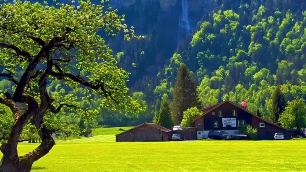 What a beautiful view | Welcome to beauty of nature - 00021