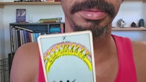 Morning Coffee ~ You Really Should Be Proud of Yourself - Daily Reading