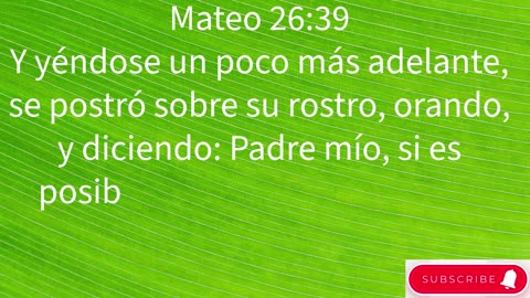 "La Pasión Comienza: Traición, Negación y Arresto de Jesús" Mateo 26:1-75 #shorts #youtube #ytshort