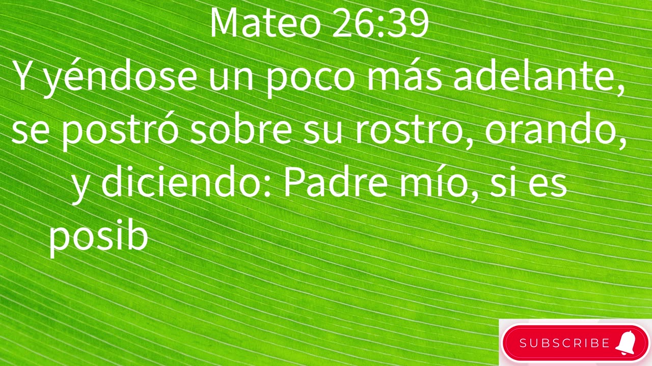 "La Pasión Comienza: Traición, Negación y Arresto de Jesús" Mateo 26:1-75 #shorts #youtube #ytshort