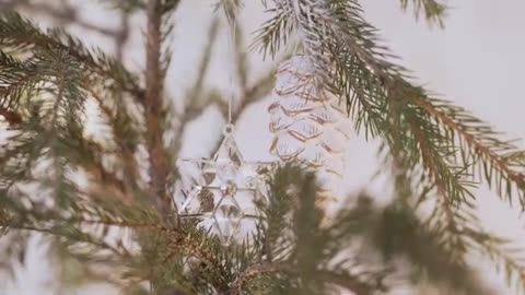 CHRISTMAS TIME Free Video Free Stock Footage Free HD Video no copyright