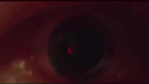 This guy can prove we are 100% living in a simulation!