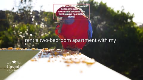 AITA for refusing to switch bedrooms with my roommate because she thinks mine has better vibes?