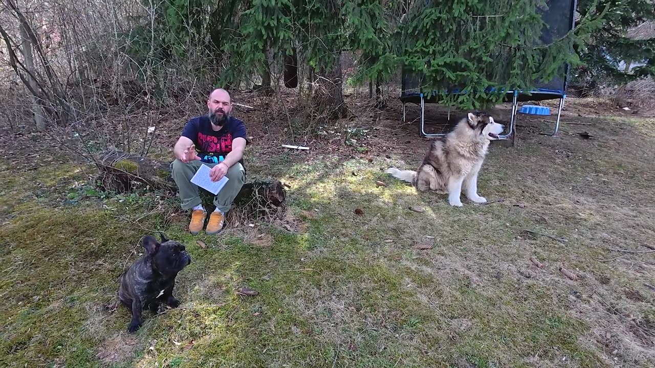 В Киев се обсъжда ликвидирането на Зеленски – 15.03.2025