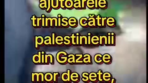 DIS--- - 25 mai 2025 - ora 08:44
