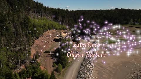 📍 Chance Harbour: Maritime Heritage & Coastal Beauty of New Brunswick’s Bay of Fundy 🦞🌊 @DJI