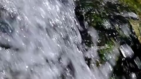 Engaging & Inspiring Video 6/29/2025