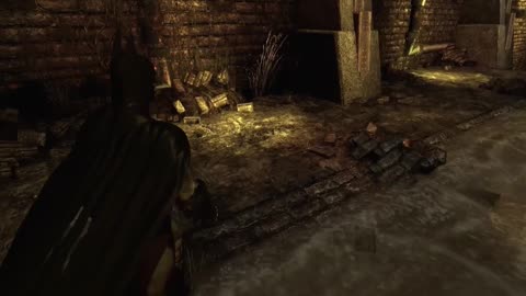 P23 Batman Arkham Asylum More Riddler Trophies