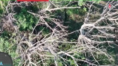 🚁💥 Ukraine Russia War | Drone Strike on Ukrainian T-64 Tank & M777 Artillery | RCF