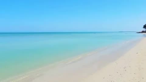 🌊 Telchac: The Caribbean's Best-Kept Secret 🌴
