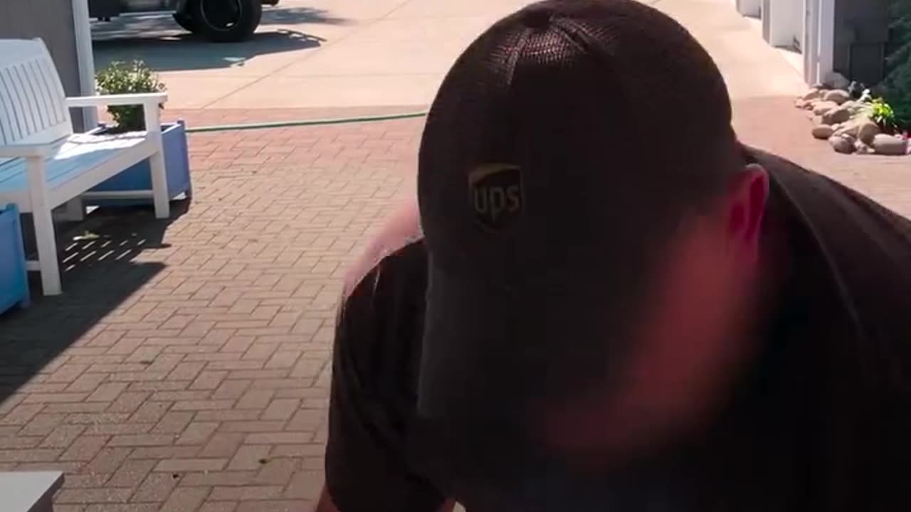 skateboarding Pro