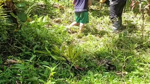 Expat in the Philippines, planting flowers at the farm.