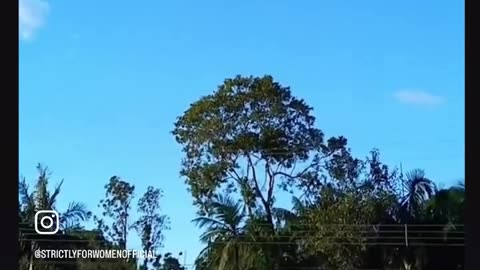 21 people died in hot balloon