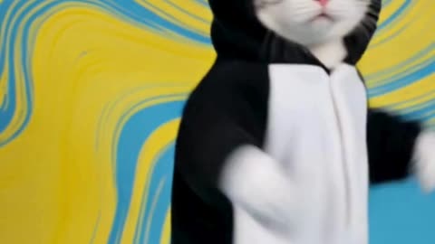 Penguin Cat Dancing #cat #dancingcat #petdance #dancingpets #catdancer #dance #funny #penguin