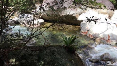 Puerto Vallarta Botanical Garden (Jalisco, Mexico) 2
