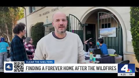 Watch Eaton Fire survivor reuniting with his cat at Pasadena shelter