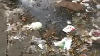 Mamdani's NYC nightmare