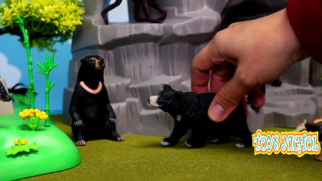 Jaguar Fights with Bear While Fighting Over Deer in the Forest