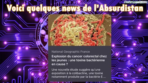 « On ira tous en Absurdie »