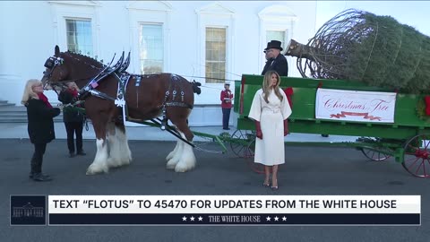 First Lady Melania Trump Welcomes the Official 2025 White House Christmas Tree