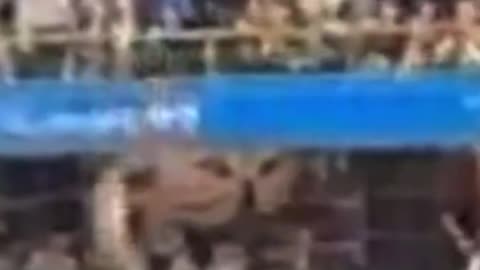 Fan falls over outfield wall during Pirates-Cubs matchup at PNC Park