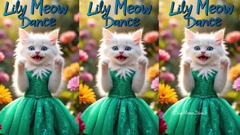 Dudi Dudi Dam Dam | Cutest Cat Dancing On Dudi Dudi Dam Dam By Liliy Meow Dance