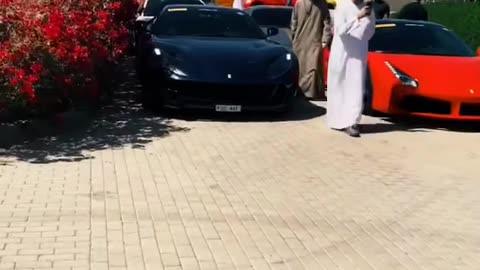 💨🏎️ Choose One: Lamborghini or Bugatti! | LuxurySportsCars