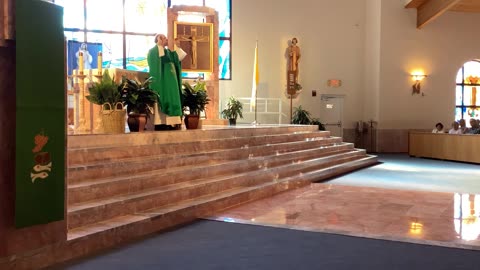 Father Martin Dunne homily 1/25/26 calling of disciples