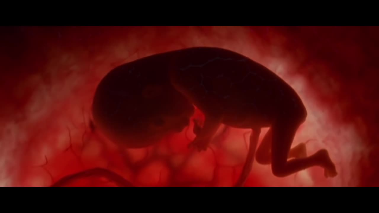 RECONNECT THE MOVIE..