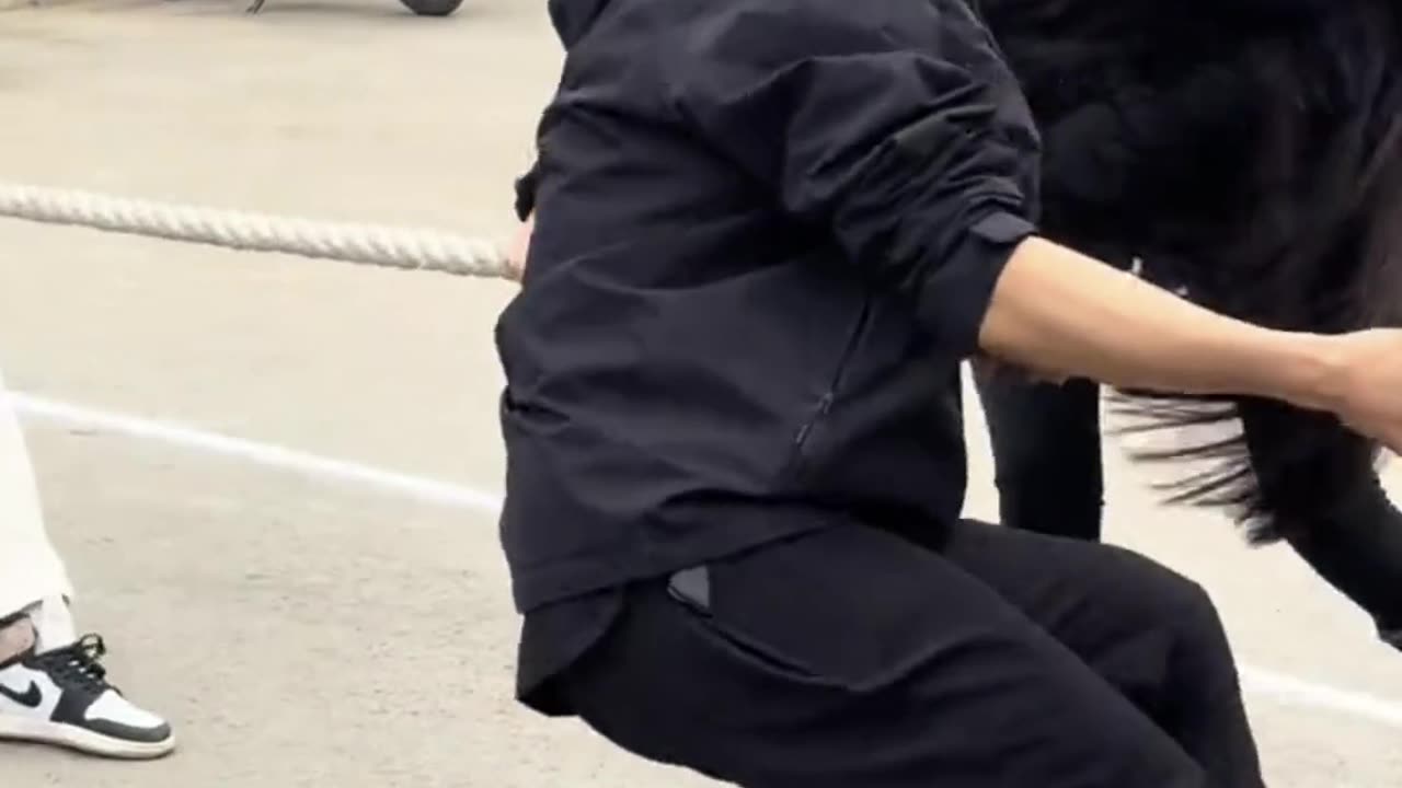 What a thrilling tug-of-war competition