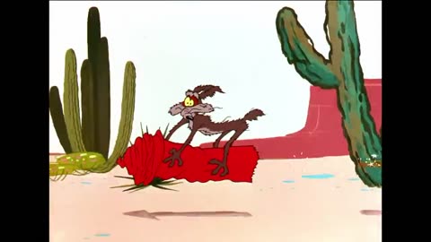 WILL COYOTE