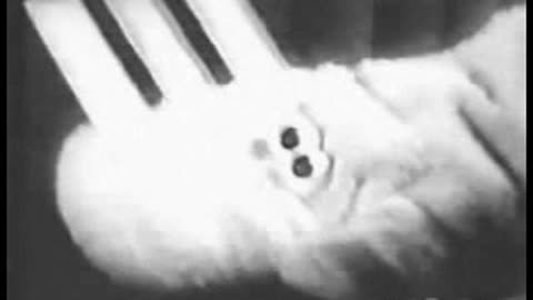 Commercial - Endust w Talking Dust Mitt (1967)