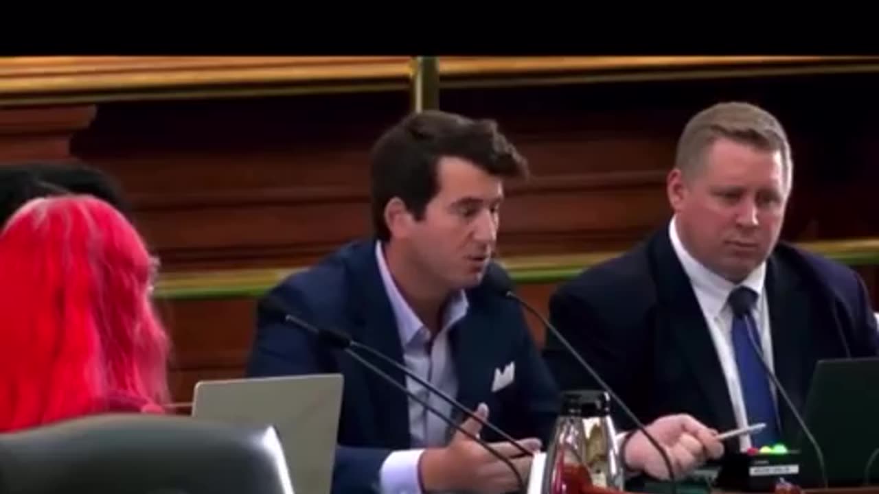 Alex Stein testifying before Texas House