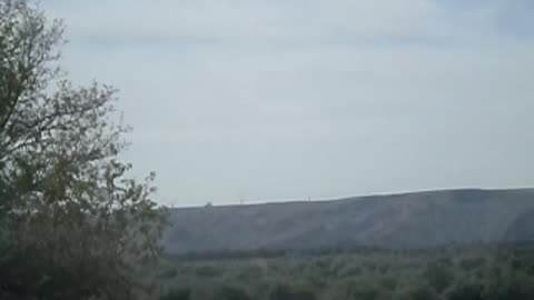 Dale says wind turbines are 'pelinkies'!