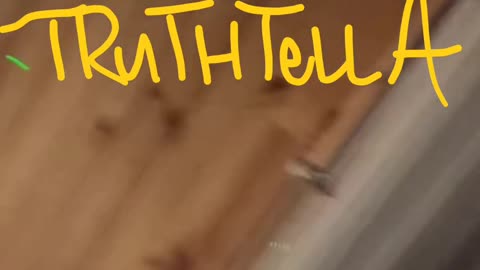 BLACK SANTA 3RD SHIFT RESPONSE TO JESSY SAYING HE OWES HER 2K