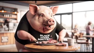 INFOWARS Shows