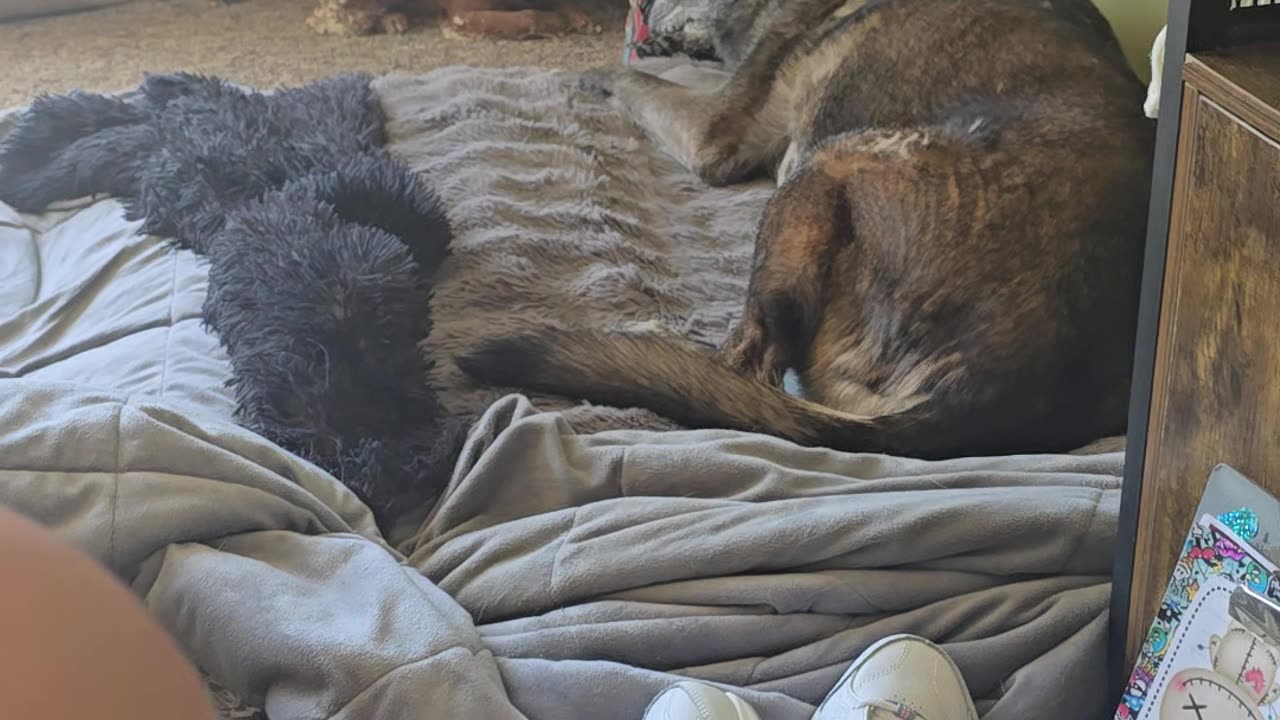Talking 3