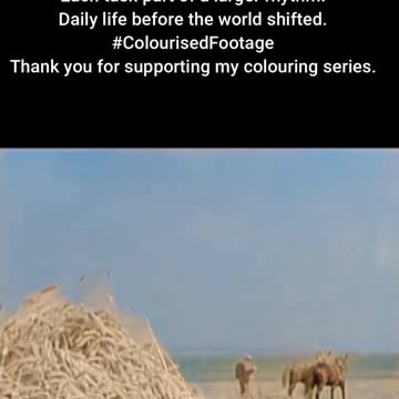 1937 Rural Work Farming and Construction in Motion #ColourisedHistory