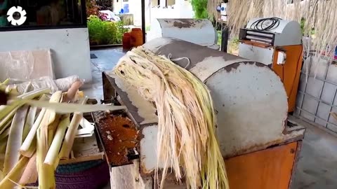 Transporting Tons of Bananas This Way - Grows and Harvest Agricultural Agriculture Technology part 4
