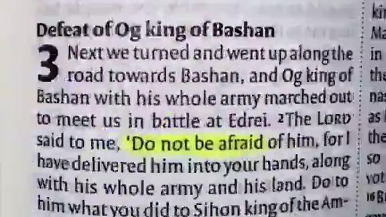 Motivational Thursday - Don't Be Afraid