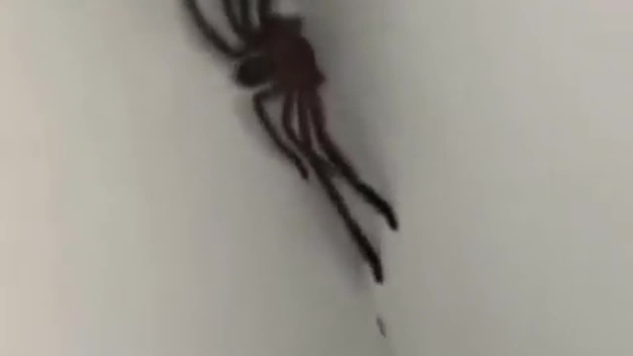 Welcome to Australia 🇦🇺